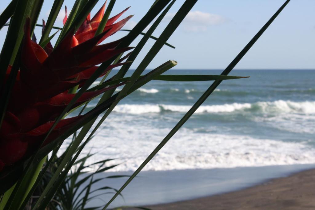 Sejuk Beach Villas Canggu Oda fotoğraf